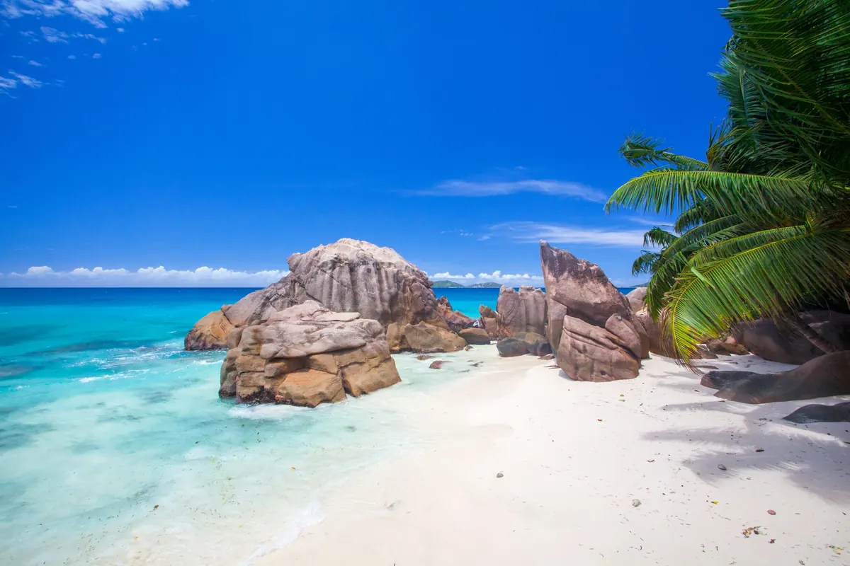 Plage de granit et cocotiers aux Seychelles